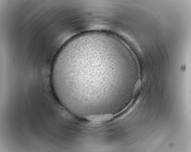 X0000103321313200809192130