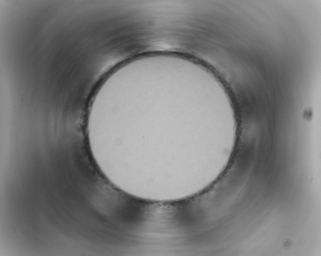 X0000103321314200809192130