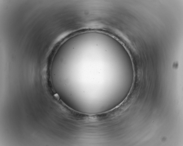 X0000103321315200809192130