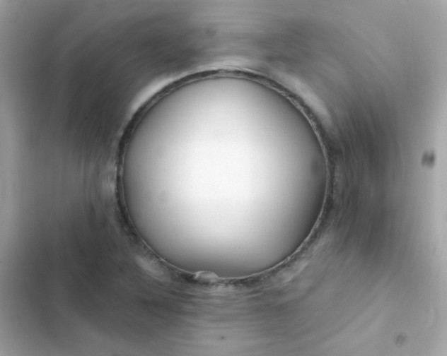 X0000103321316200809192130