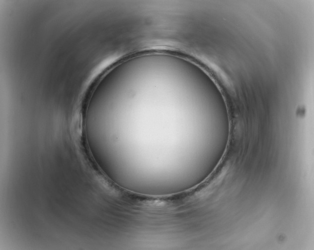 X0000103321317200809192130