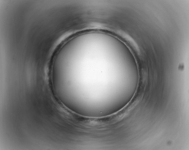 X0000103321318200809192130