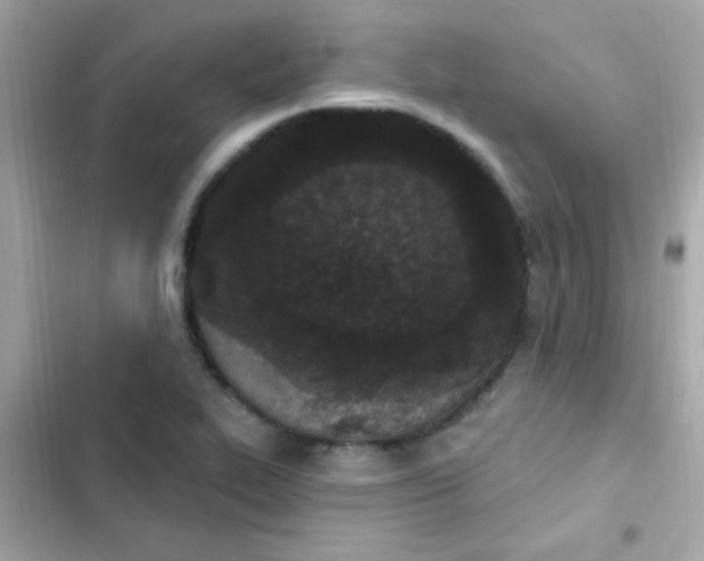 X0000103321319200809192130