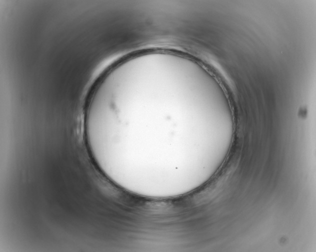 X0000103321320200809192130