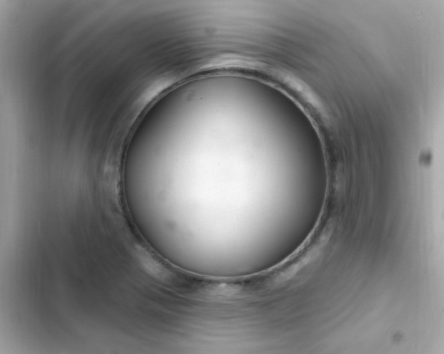 X0000103321321200809192130