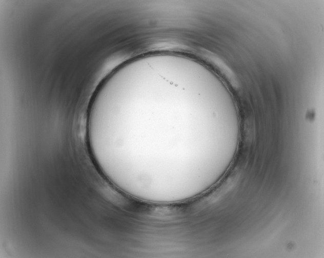 X0000103321322200809192130