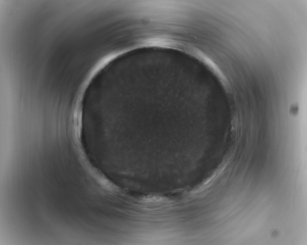 X0000103321323200809192130