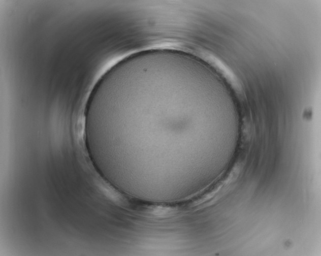 X0000103321324200809192130