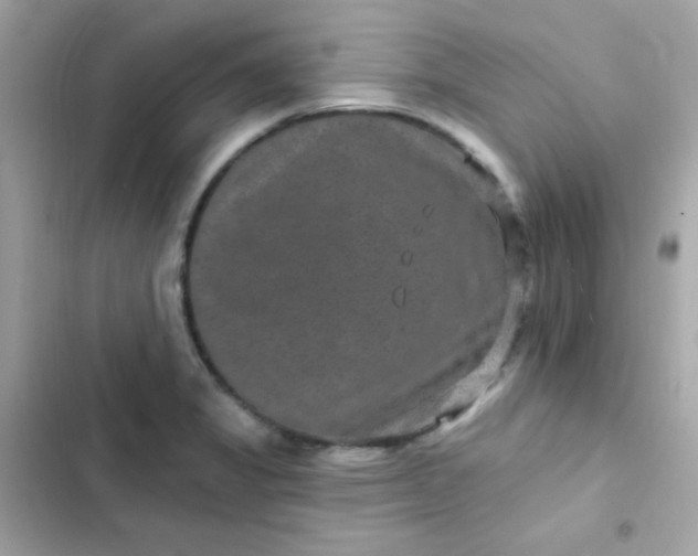 X0000103321325200809192130