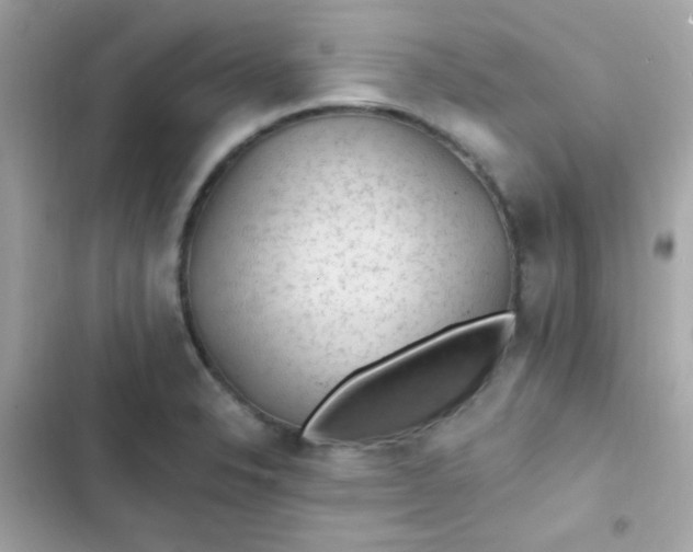 X0000103321326200809192131