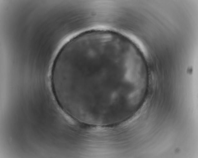 X0000103321327200809192131