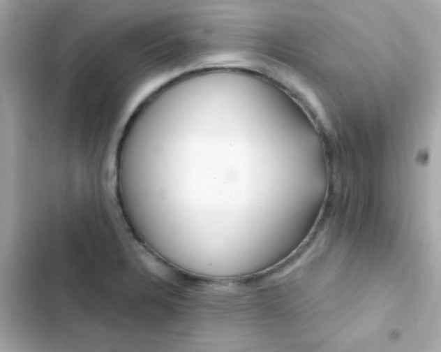 X0000103321328200809192131