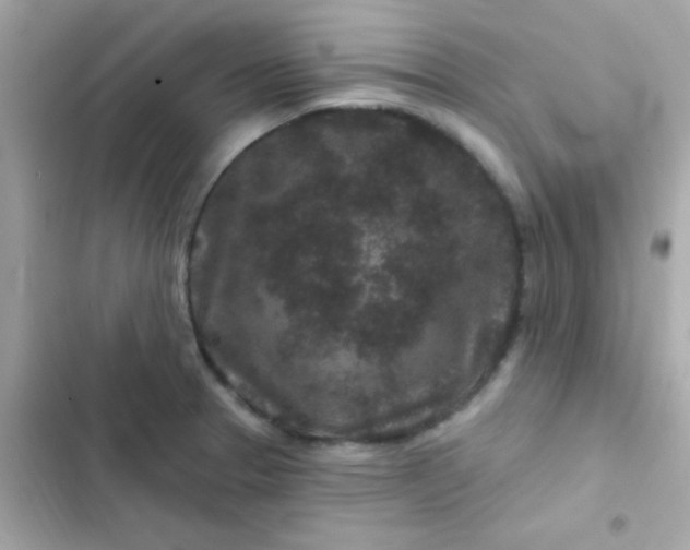 X0000103321329200809192131