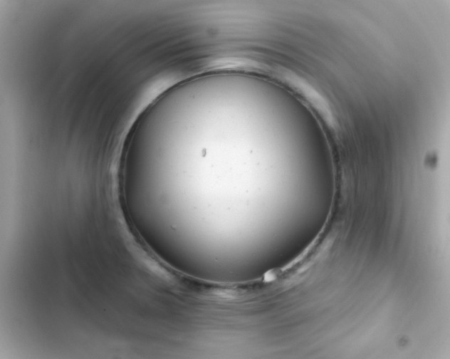 X0000103321330200809192131