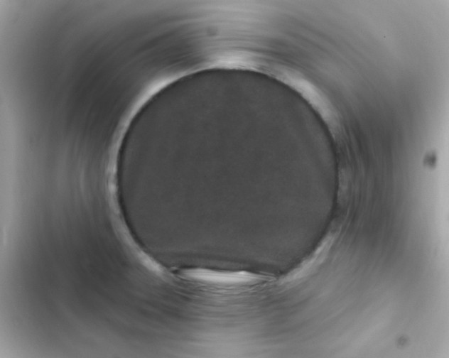 X0000103321331200809192131