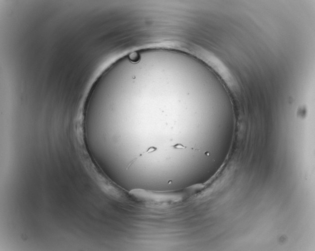 X0000103321332200809192131