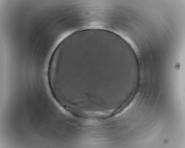 X0000103321333200809192131