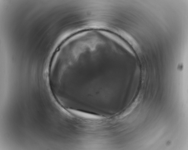 X0000103321334200809192131