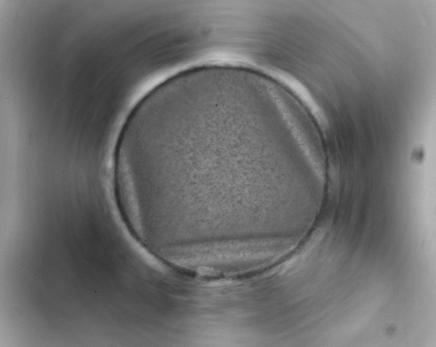 X0000103321335200809192131