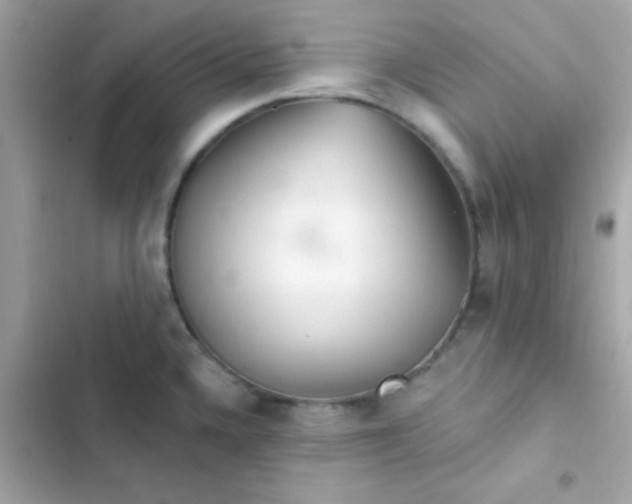 X0000103321336200809192131