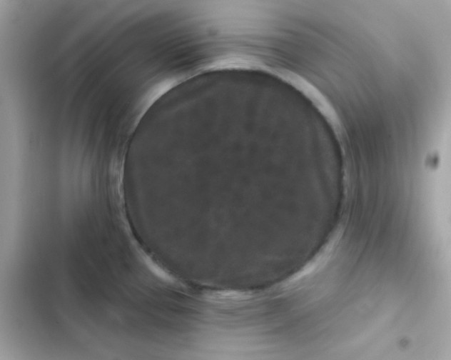 X0000103321337200809192131