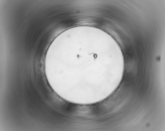 X0000103321338200809192131