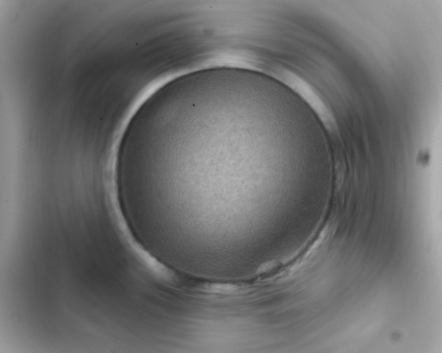 X0000103321339200809192131