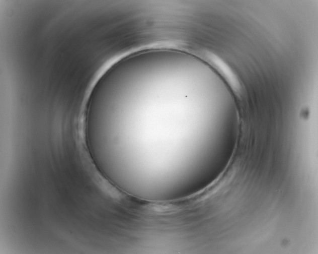 X0000103321340200809192131