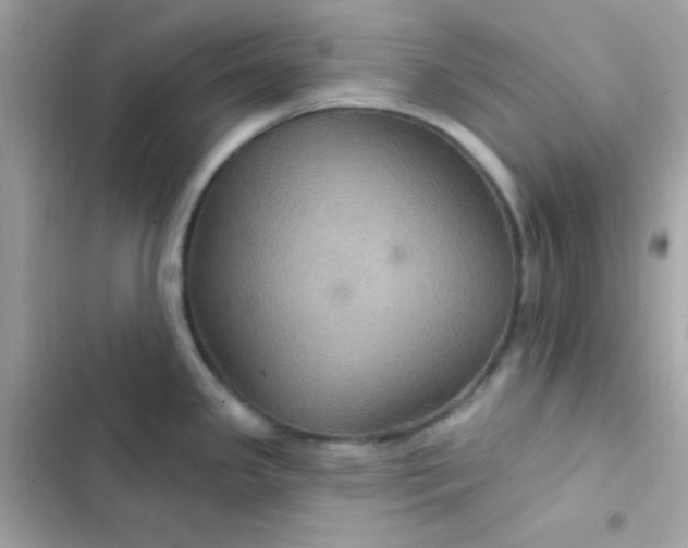 X0000103321341200809192131