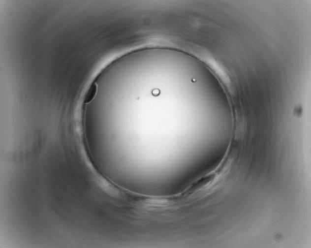 X0000103321342200809192131