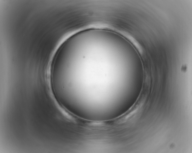 X0000103321343200809192131