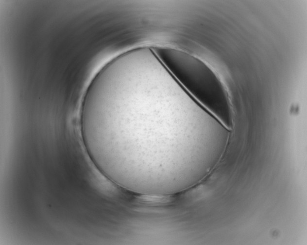 X0000103321344200809192131