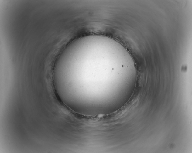 X0000103321345200809192130