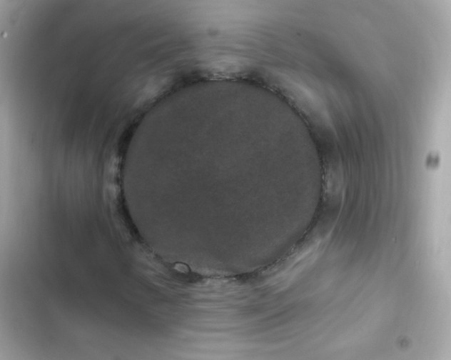 X0000103321346200809192130