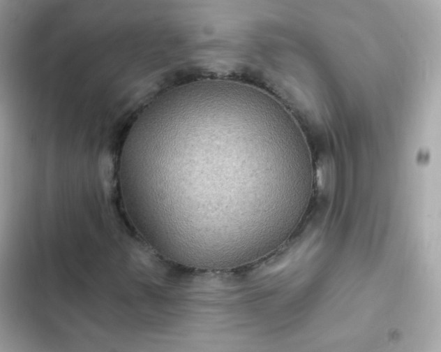 X0000103321347200809192130