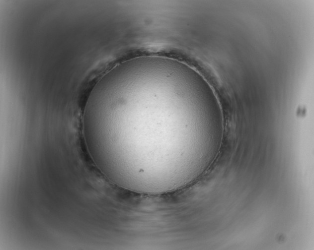 X0000103321349200809192130