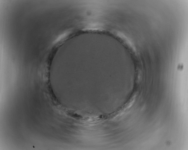 X0000103321350200809192130