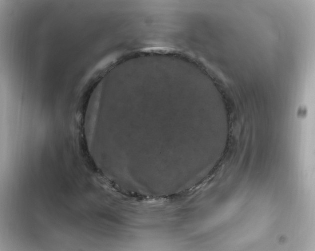 X0000103321351200809192130