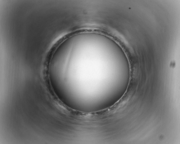 X0000103321352200809192130