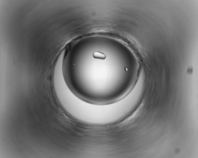 X0000103321353200809192130