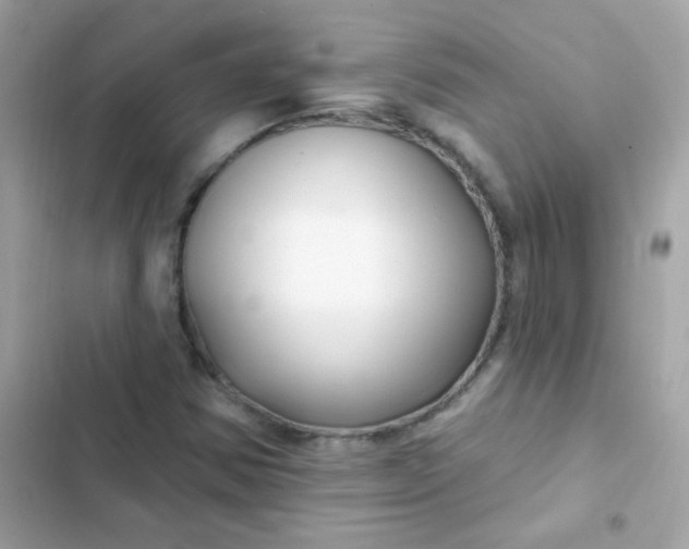 X0000103321354200809192130