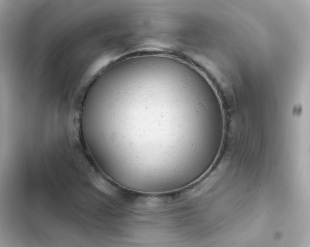 X0000103321355200809192130