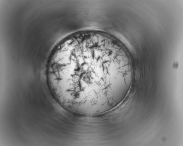 X0000103321356200809192130