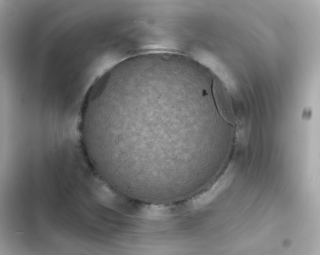 X0000103321357200809192130