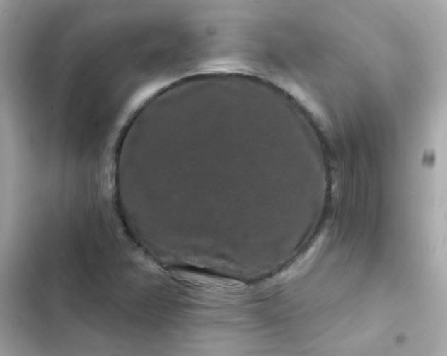 X0000103321358200809192130