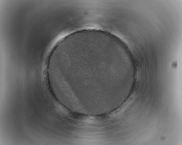 X0000103321359200809192130