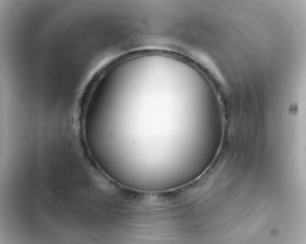 X0000103321360200809192130