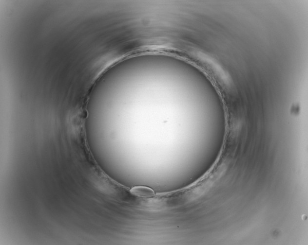 X0000103321361200809192130