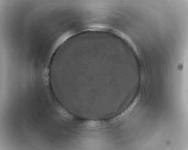 X0000103321362200809192130