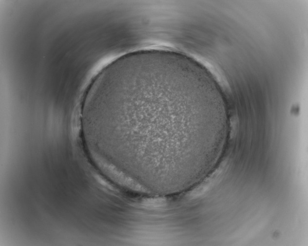 X0000103321363200809192130